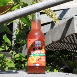 Kombucha pêche sureau bio