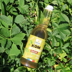 Kombucha original bio