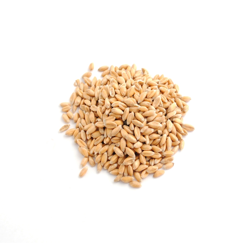 Épeautre décortiqué en vrac bio