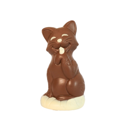 Chat chocolat au lait bio