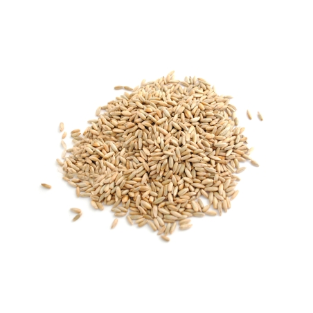 Seigle complet grand format...