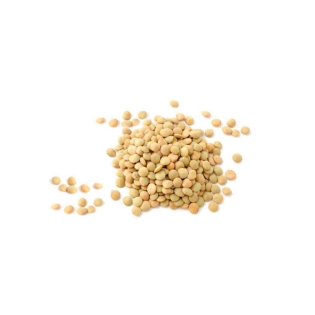 Lentilles blondes en vrac bio