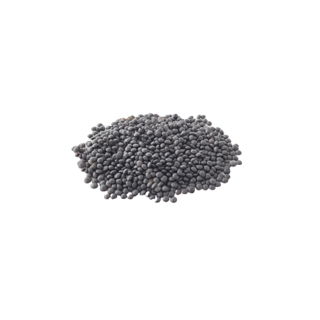 Lentilles noires Beluga en...