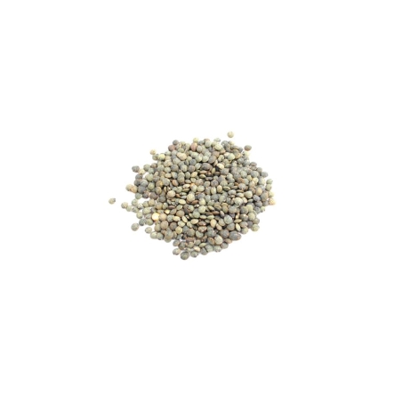 Lentilles vertes en vrac bio