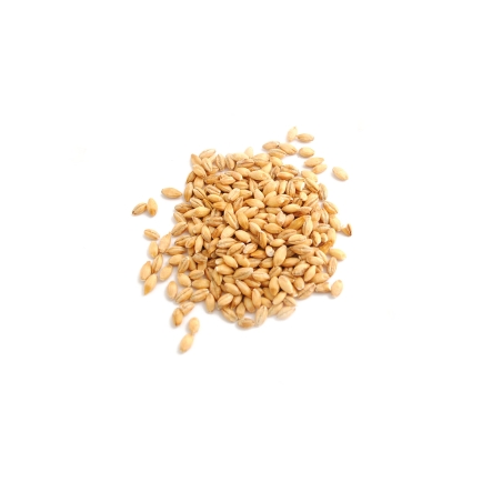 Orge mondé en vrac bio