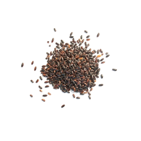 Riz noir NERONE en vrac bio