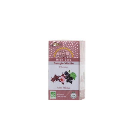 Infusion cassis hibiscus bio