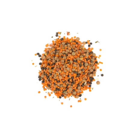 Trio de lentilles en vrac bio