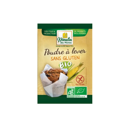 Poudre à lever sans gluten bio
