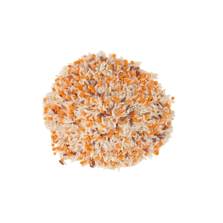 Mélange exotique en vrac bio