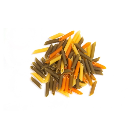 Penne tricolore en vrac bio