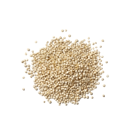 Quinoa blanc en vrac bio