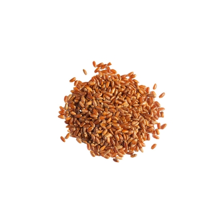 Riz rouge grand format bio