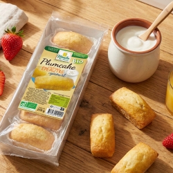Plumcake d'épeautre au yaourt bio