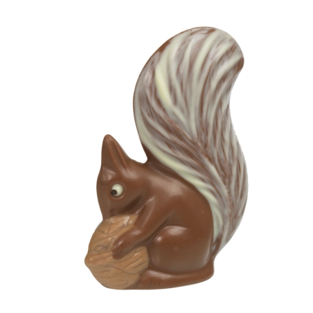Ecureuil chocolat au lait bio