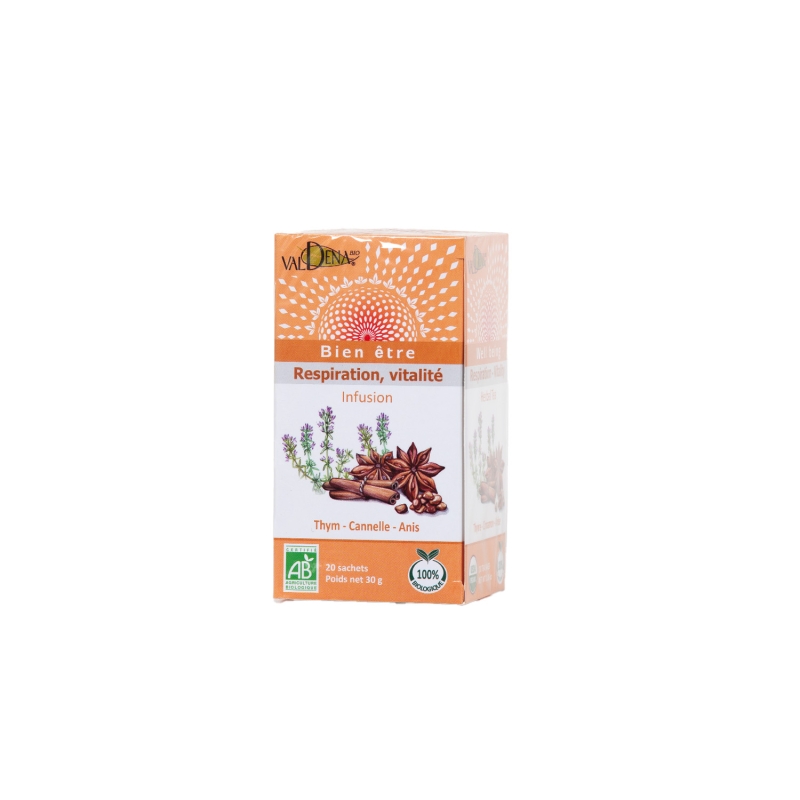 Infusion thym cannelle anis bio