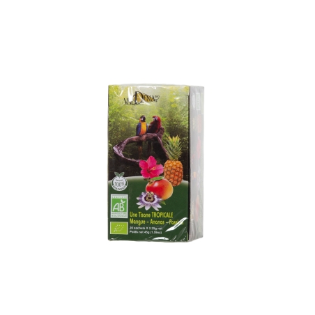 Tisane tropical mangue...