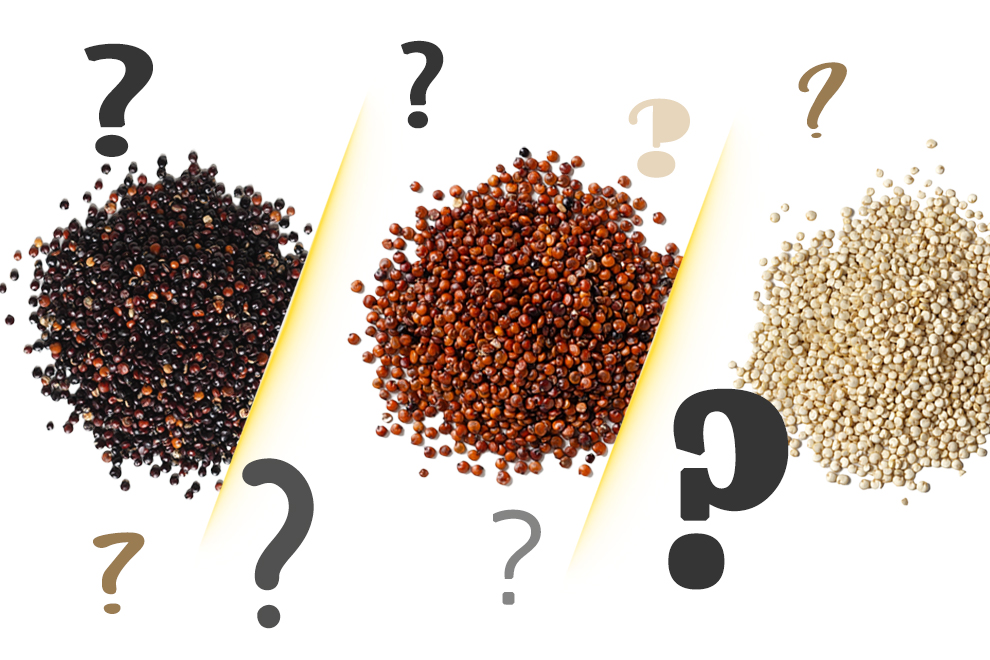 Quinoa blanc, noir, rouge .. quelles différences  et comment les cuisiner ?