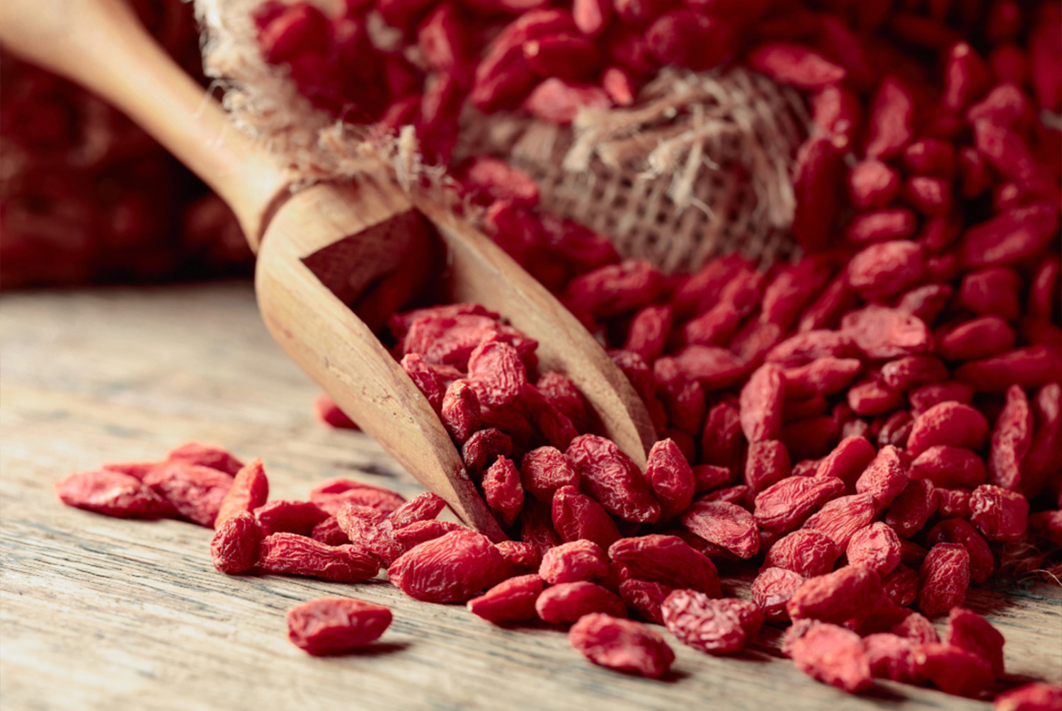 Baies de goji biologiques séchées, riches en antioxydants et idéales pour renforcer le système immunitaire.