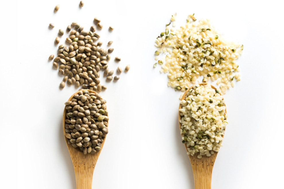 Tout savoir sur la graine de chanvre : bienfaits et usages