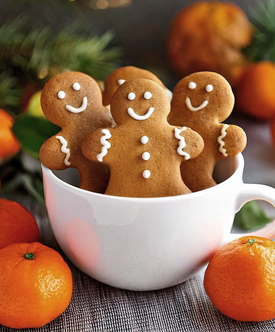 Ginger'Mannele de la Saint-Nicolas